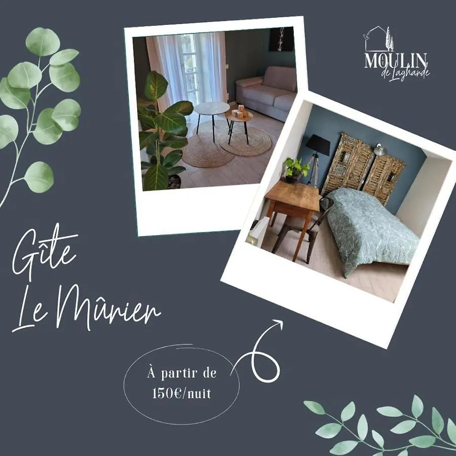 Apartment Gite Le Murier- Le Moulin De Lagharde Rochessauve