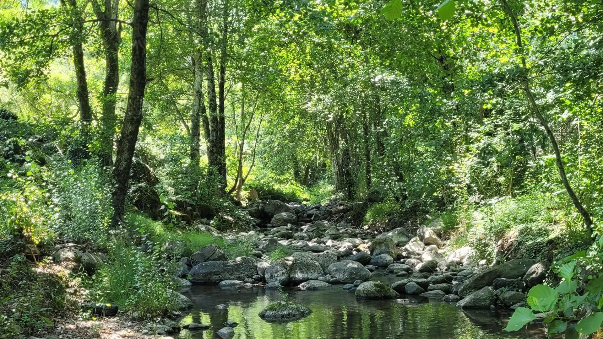 Gite Le Murier- Le Moulin De Lagharde Rochessauve 0*,  France